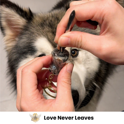 Pet Fur Keepsake