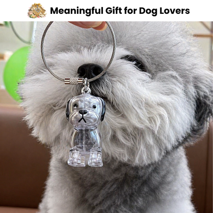 Pet Fur Keepsake