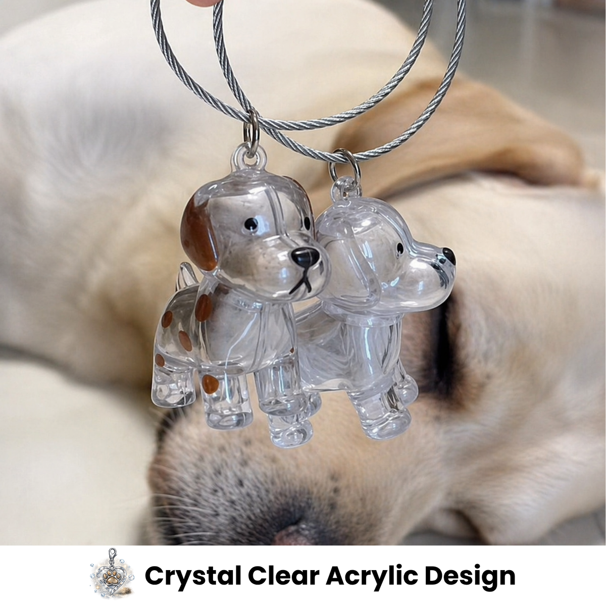 Pet Fur Keepsake